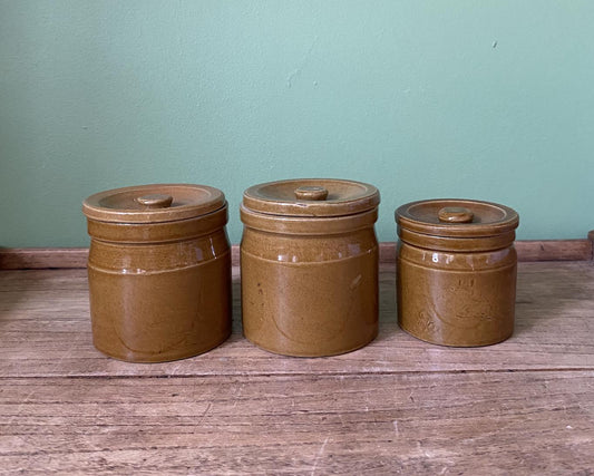 Ochre Stoneware Preserve Pots