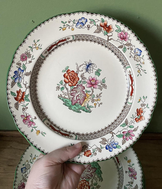 Ten Spode Copeland Chinese Rose 23cm Plates