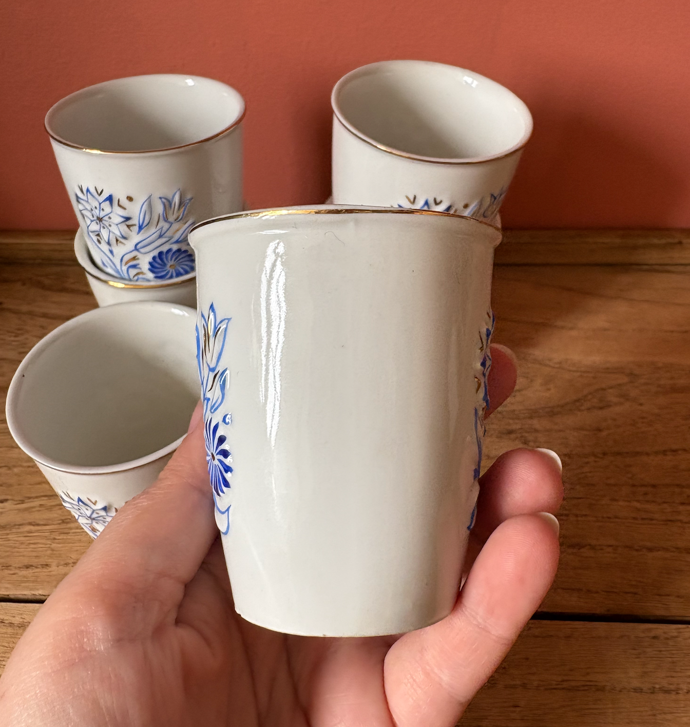 Set of 6 Hungarian Porcelain Tumblers