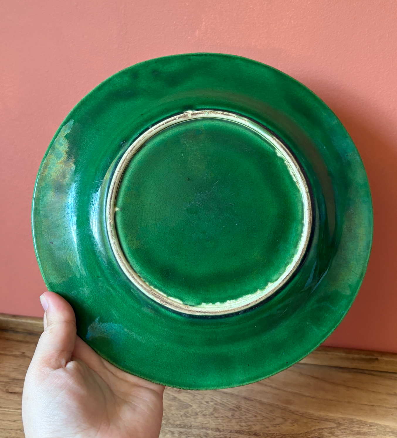 Green Leaf Vine Majolica Plate