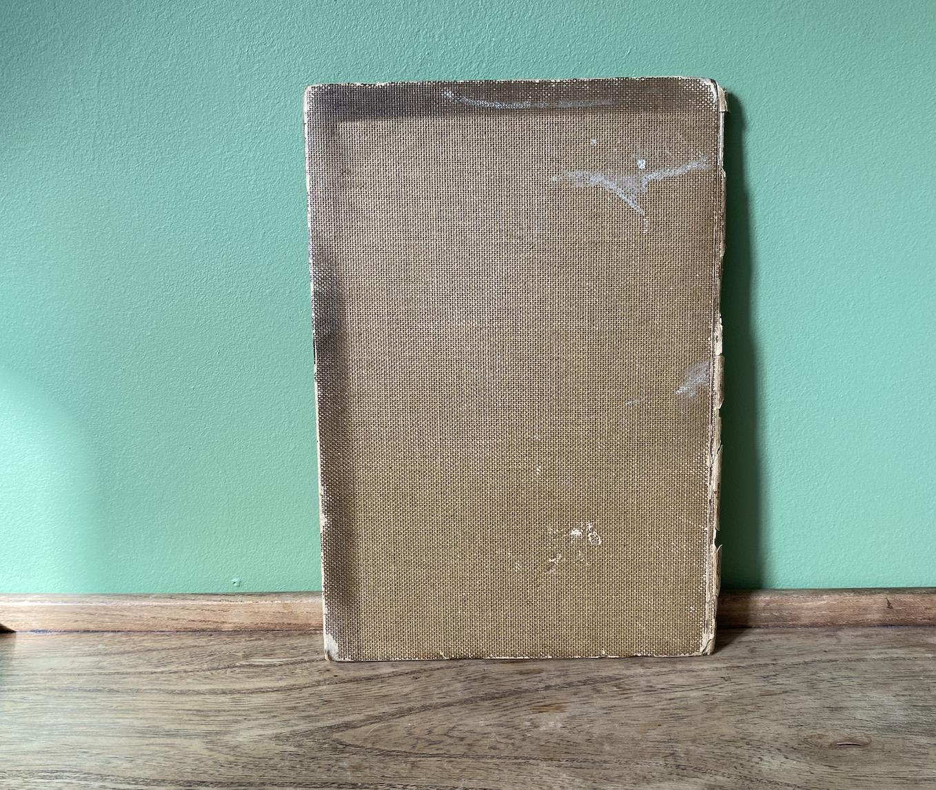 The Zoo A Sketchbook by A.W Peters 1915 Edition