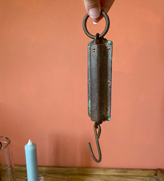 Chantillon's 24 lbs Balance Spring Scale