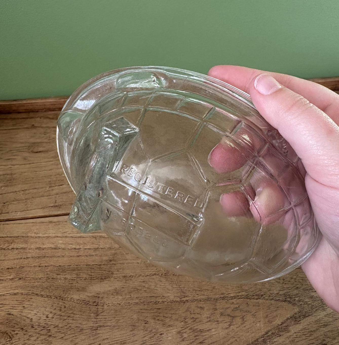 Glass Turtle Shaped Jelly Mould