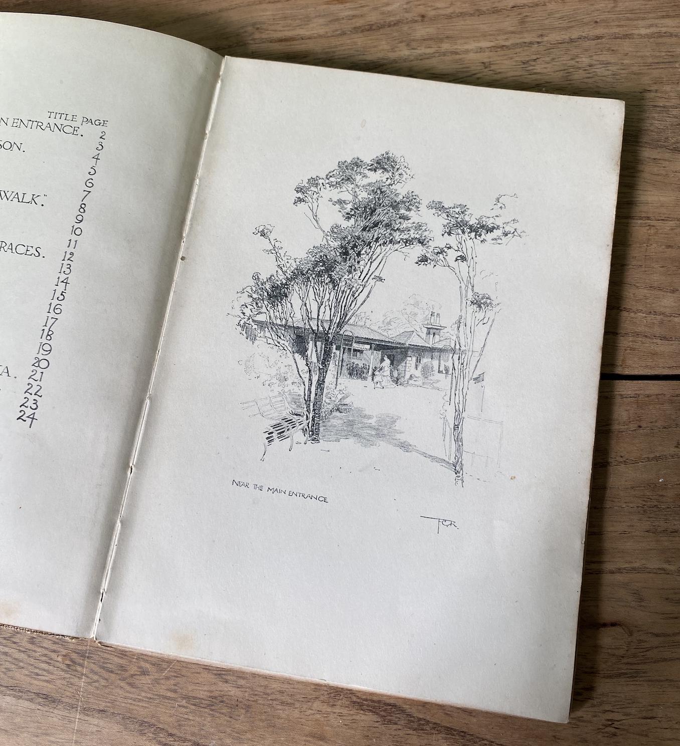 The Zoo A Sketchbook by A.W Peters 1915 Edition