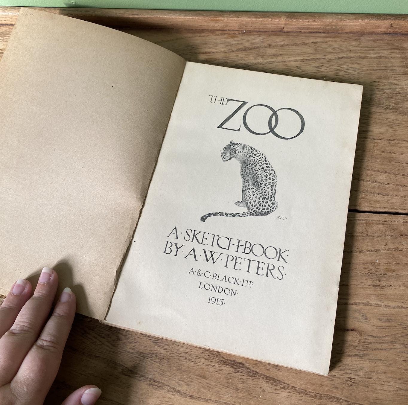 The Zoo A Sketchbook by A.W Peters 1915 Edition