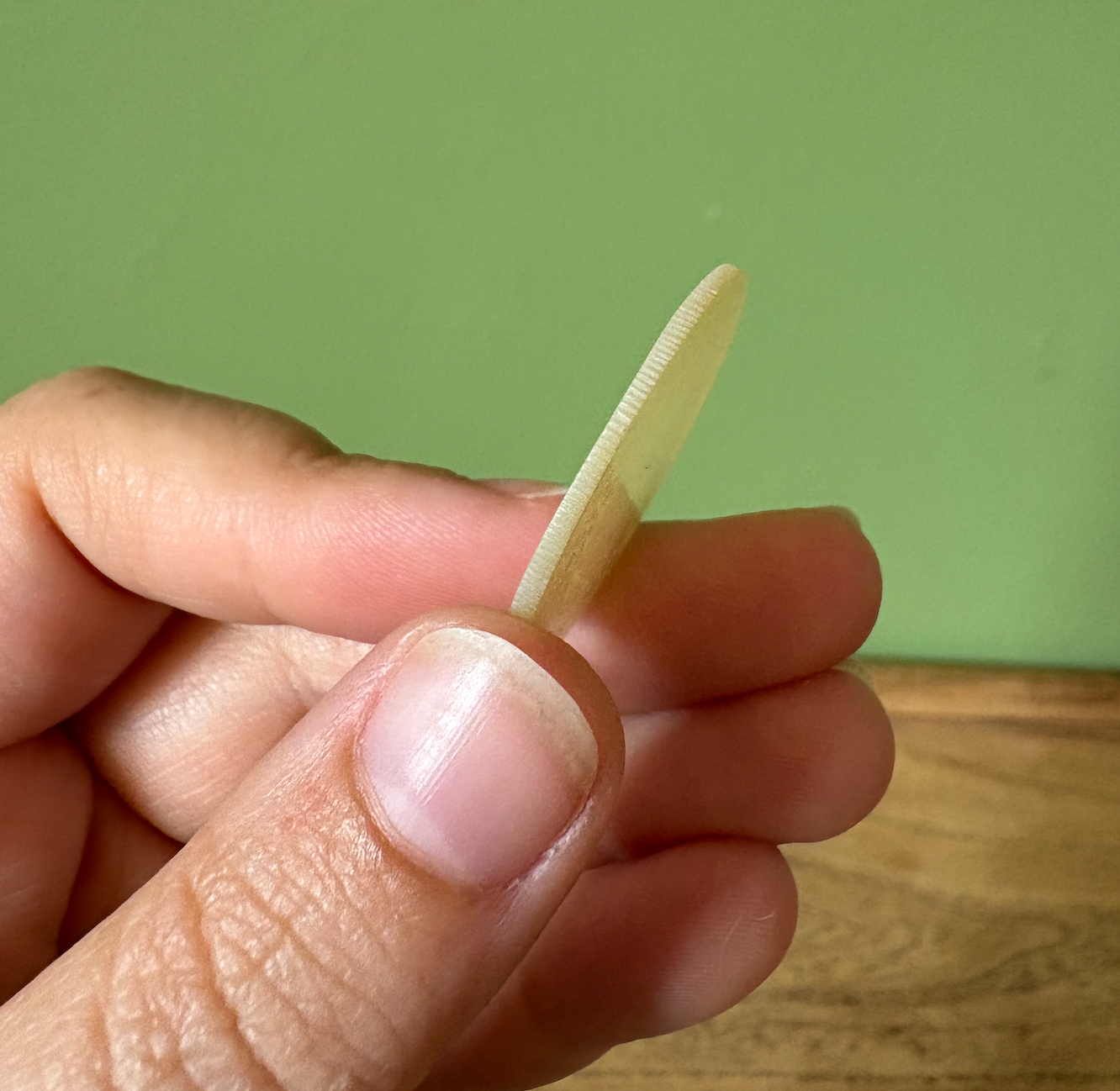 Set of 12 Antique Chinese Mother of Pearl Gaming Tokens