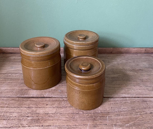 Ochre Stoneware Preserve Pots