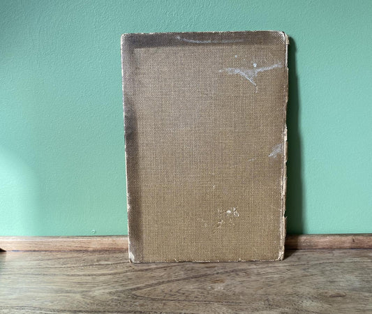 The Zoo A Sketchbook by A.W Peters 1915 Edition