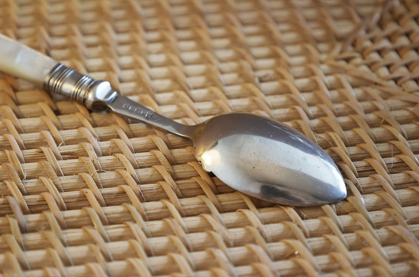 Antique Mother of Pearl Handled Jam/preserve Spoon