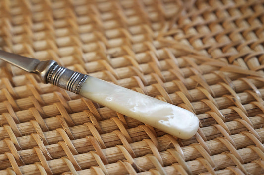 Antique Mother of Pearl Handled Jam/preserve Spoon