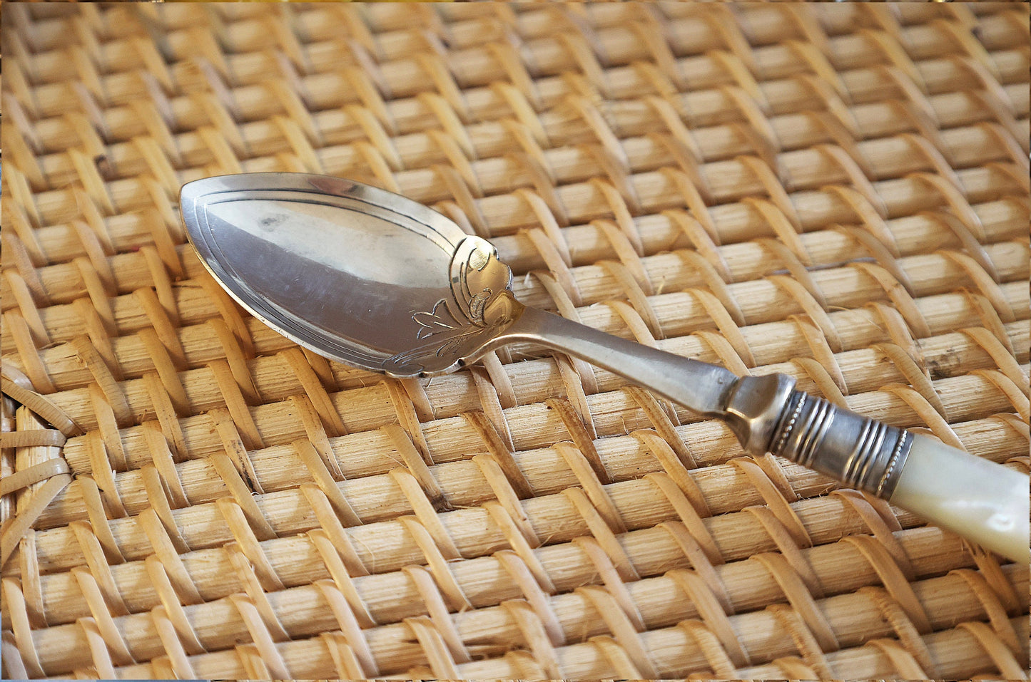 Antique Mother of Pearl Handled Jam/preserve Spoon