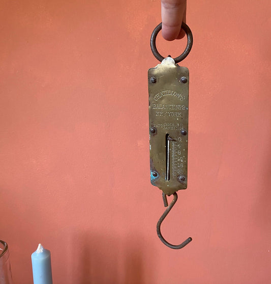 Chantillon's 24 lbs Balance Spring Scale
