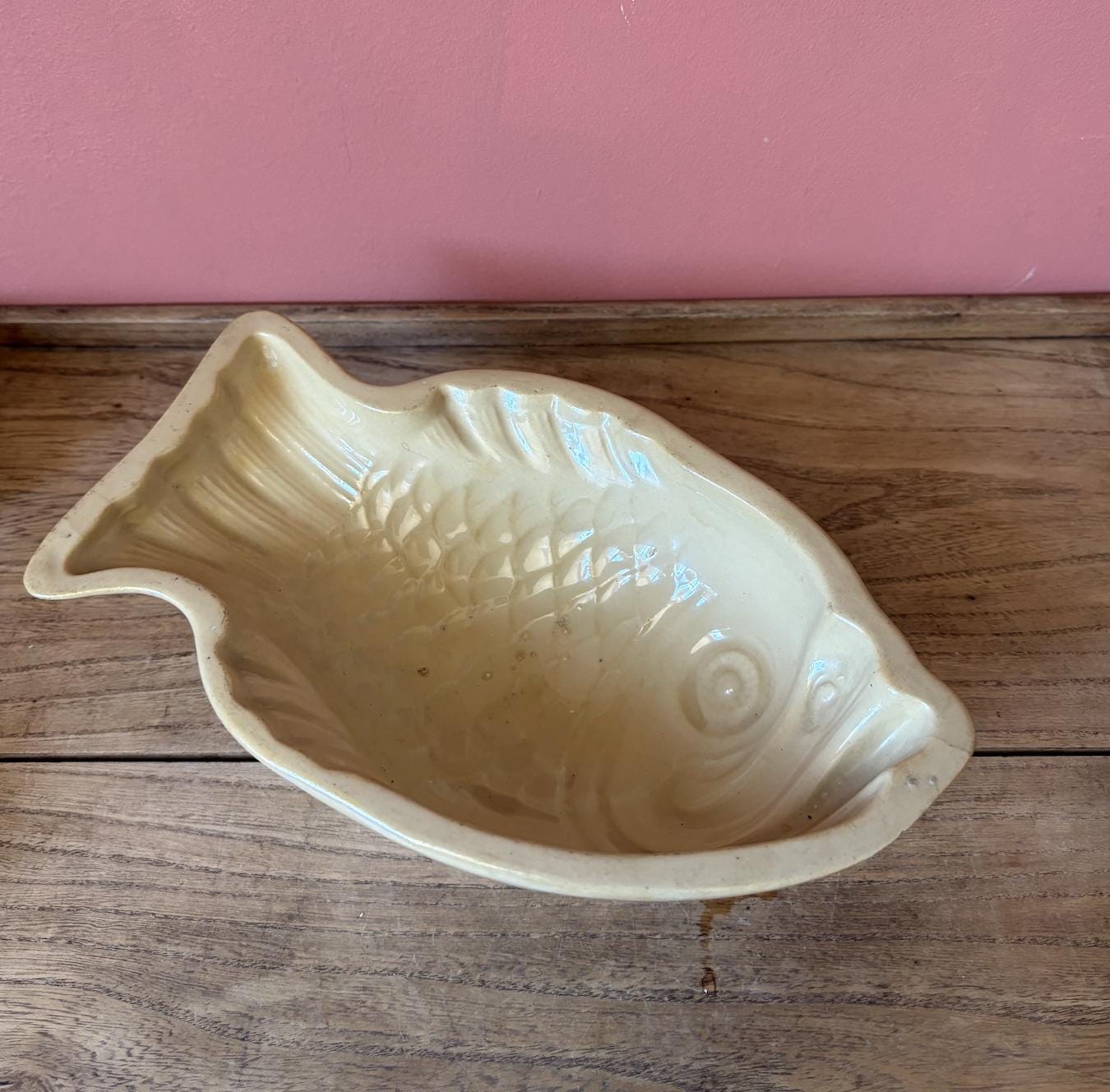 Fish Shaped Ceramic Food Mould